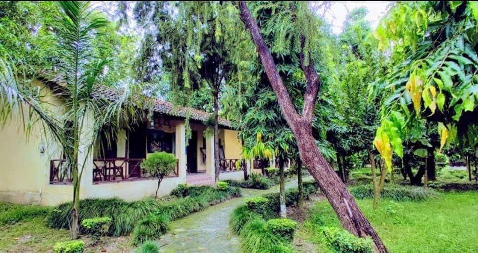 Rhino Lodge Bardia Pvt Ltd Bardiya Extérieur photo